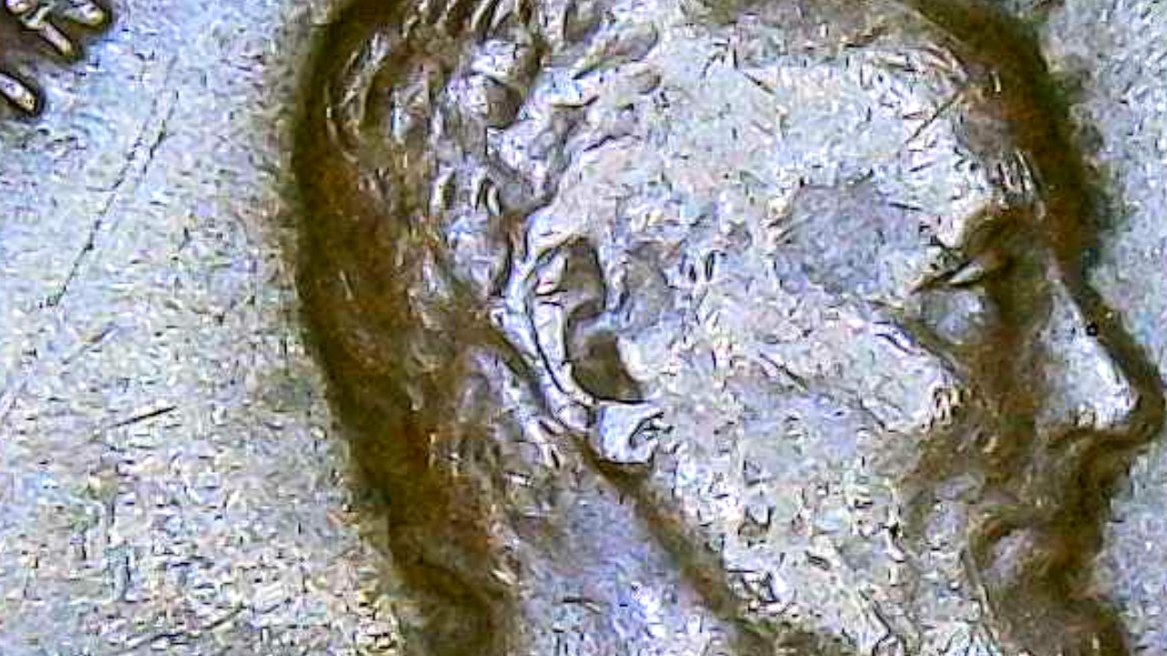 1949-D-Cent-Is-That-A-Small-Die-Chip-On-His-Ear