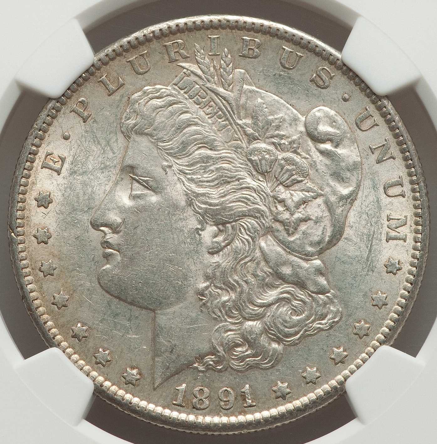 1891-S-Morgan-NGC:-Drawer-Filler?