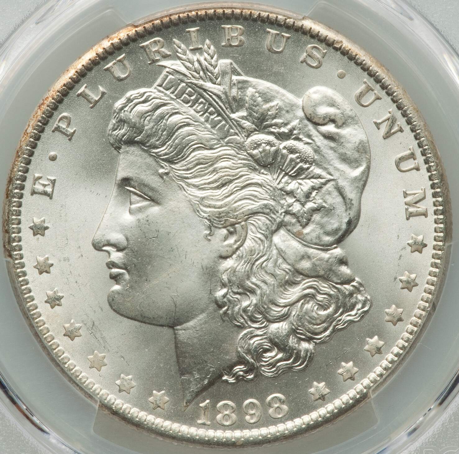 1898-O-Morgan-Dollar-PCGS:--Display-Your-Grading-Prowess