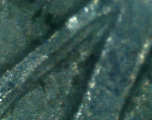 1961-Nickel-No-Mint-Mark
