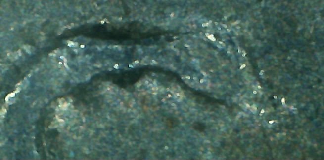 1961-Nickel-No-Mint-Mark