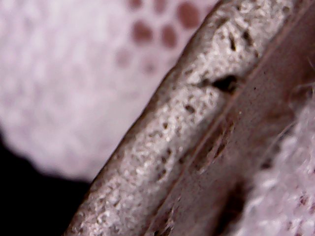 Balbinus-Antoninian---Is-It-Good-Or-Fake?