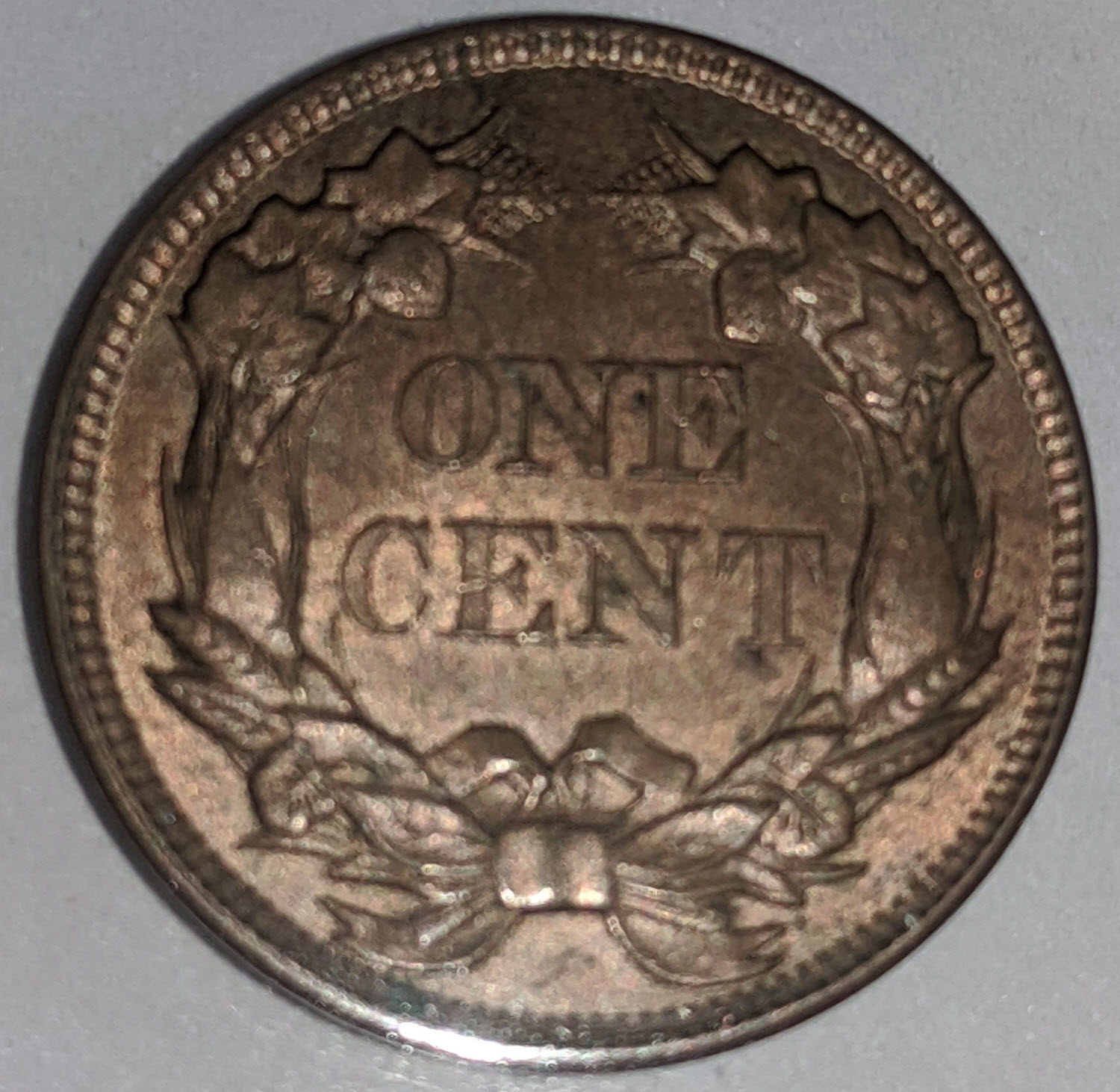 1857-Flying-Eagle-For-Your-Opinion