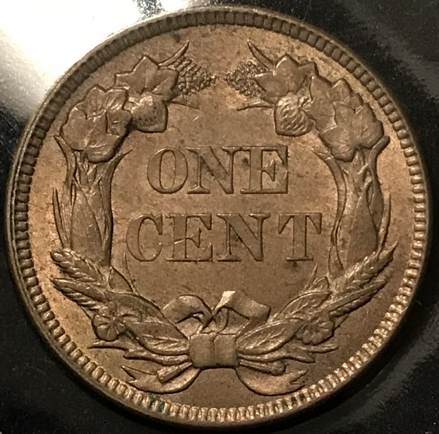 1857-Flying-Eagle-For-Your-Opinion