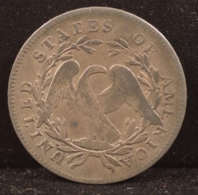 1795-Flowing-Hair-Half-Dollar,-What-Do-You-Think?