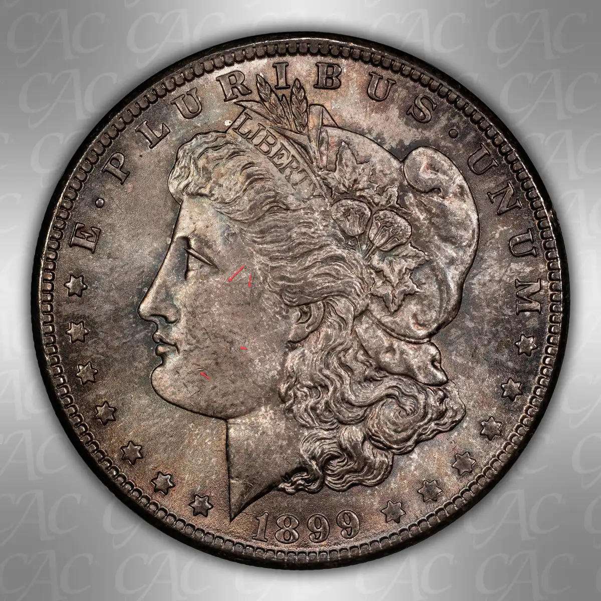 1899-O-$1:-You-Vs.-CACG