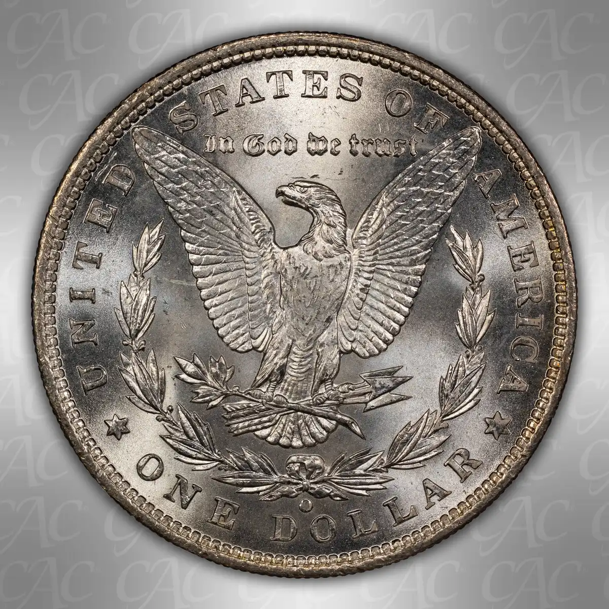 1900-O-$1:--You-Vs.-CACG-#2