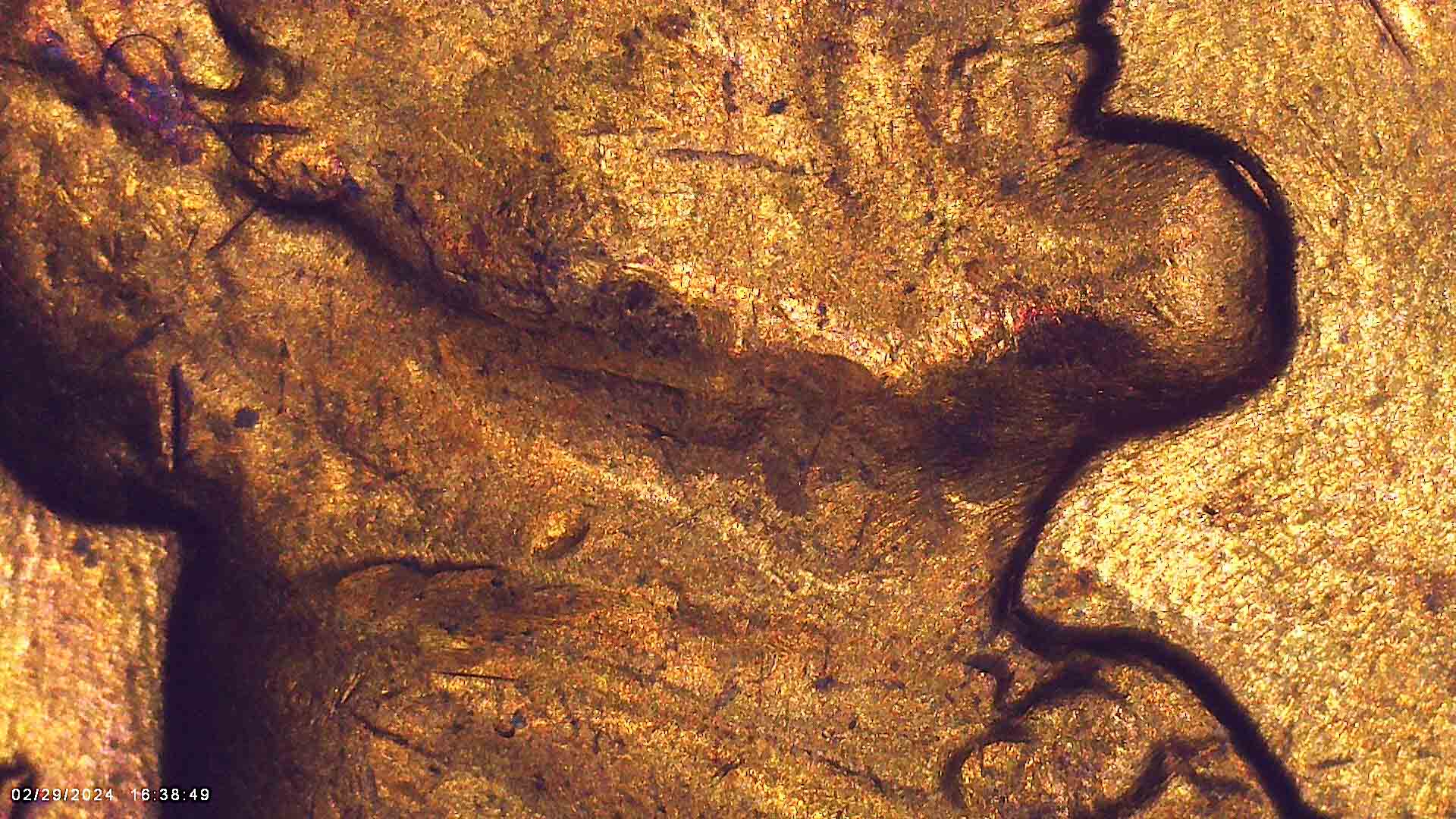 1964-D-Penny-With-A-Small-Strip-Missing-Of-It-And-I-Have-That-Piece-With-It.