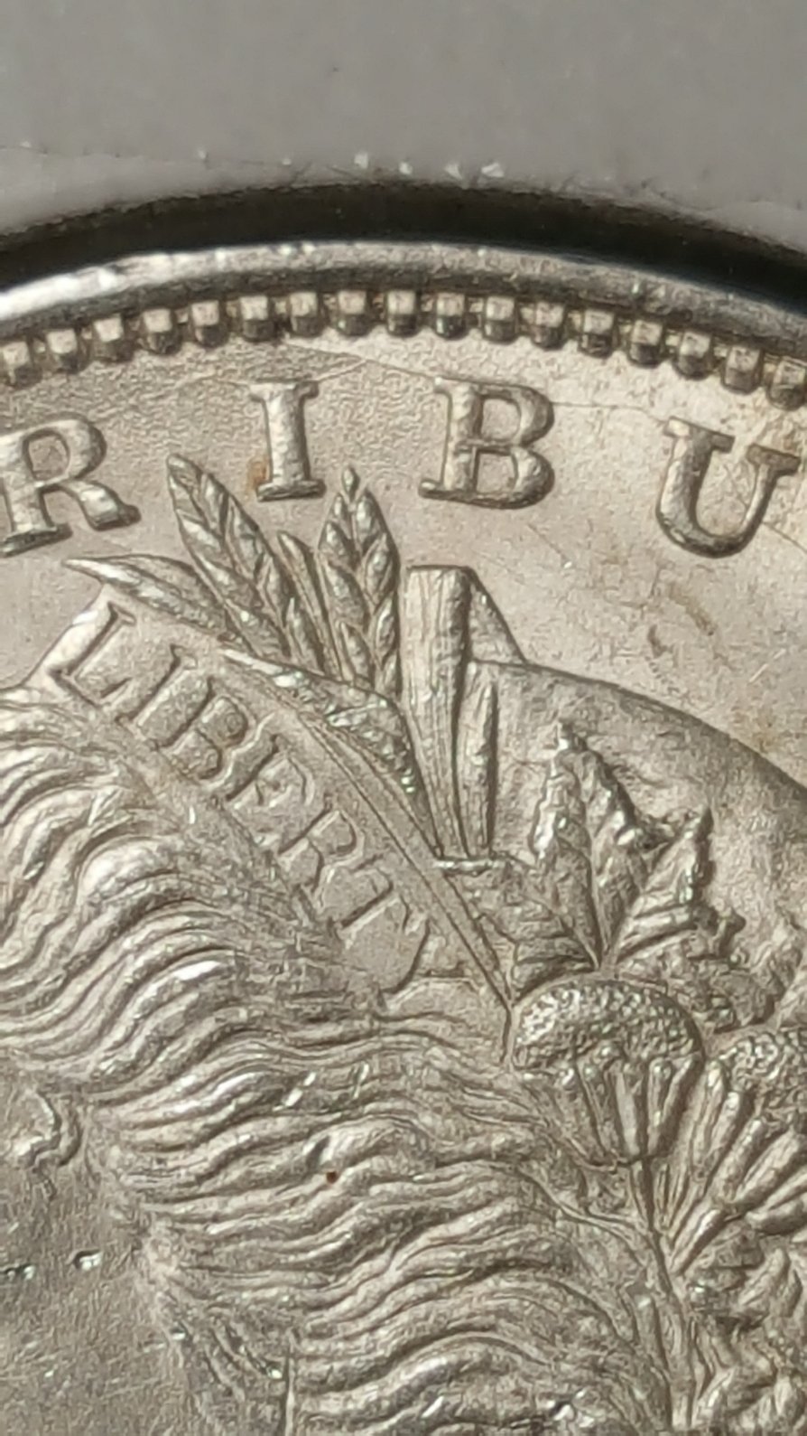 1921-P-Morgan-Dollar.-What-VAM-Is-It?-New?--What-Kind-Of-Grade?-Any-Info-Ty