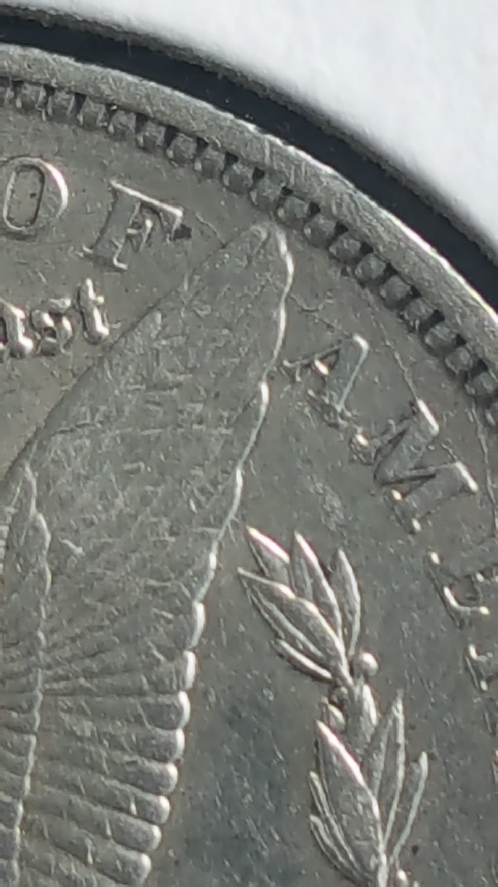 1891-O-Morgan-Dollar.-Cant-Figure-Out-What-Type-Of-VAM-It-Is.-Please-Help!?