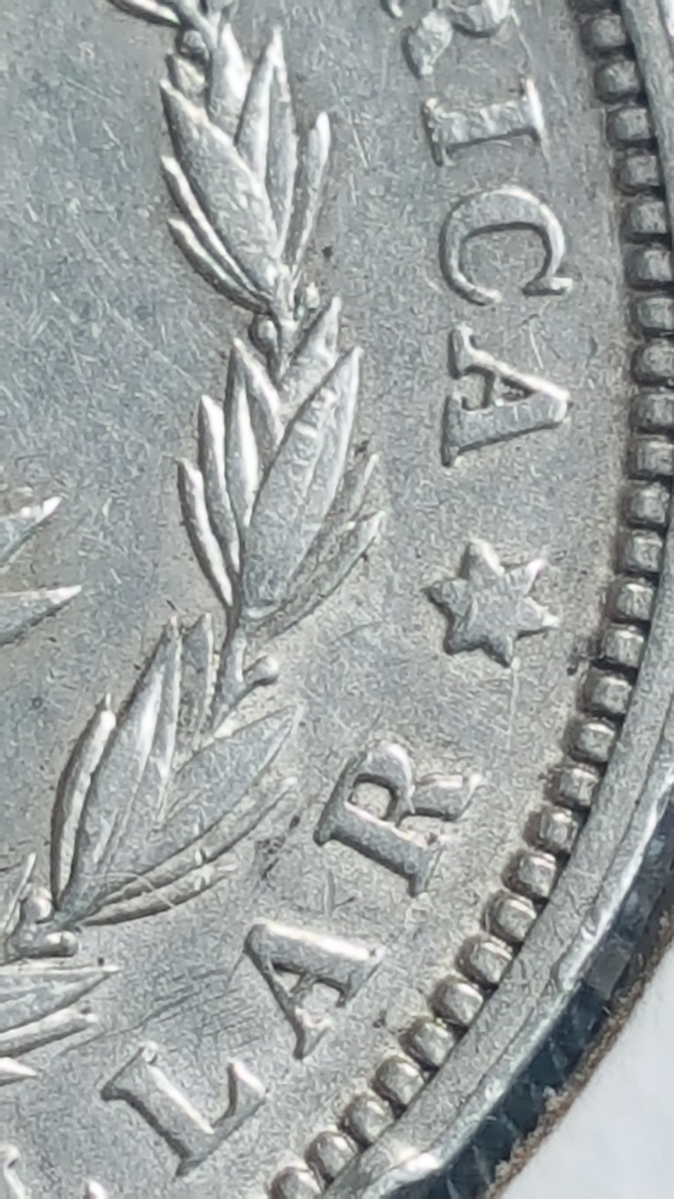 1891-O-Morgan-Dollar.-Cant-Figure-Out-What-Type-Of-VAM-It-Is.-Please-Help!?