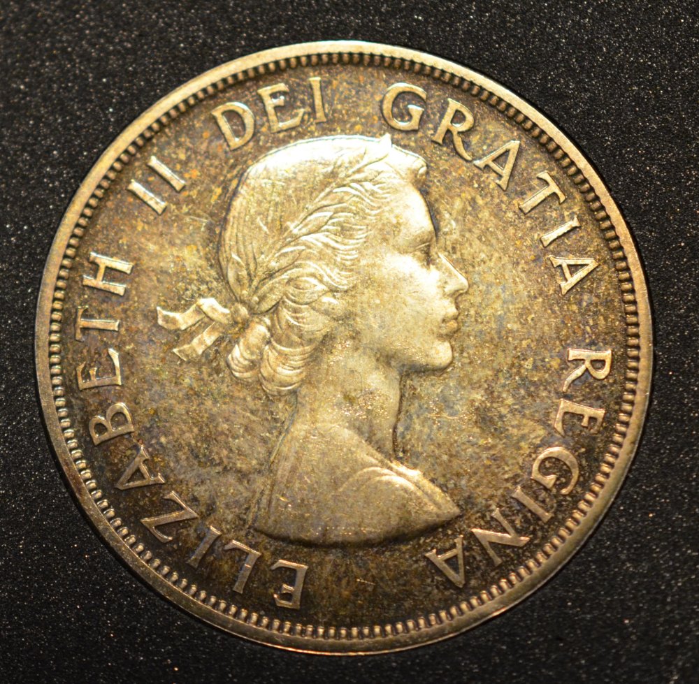 Specimen-Dollar-On-Ebay?