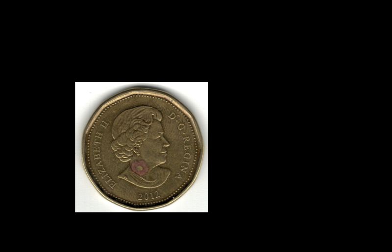 2012-Loonie-With-Poppy-Near-Face-Of-Queen