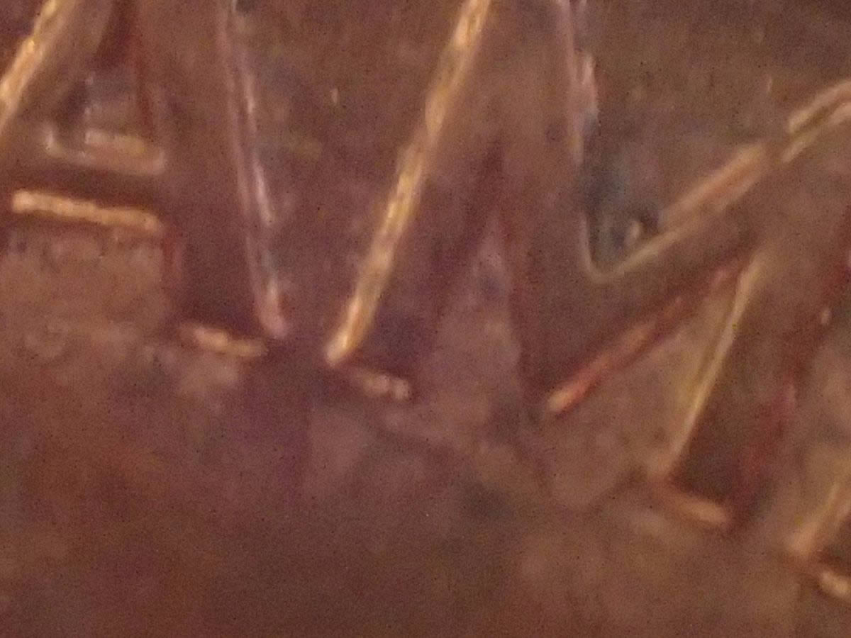 East-Coast-Trip-Wide-AM-Lincoln-Cent