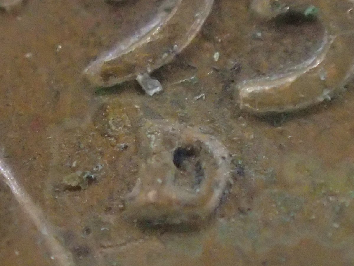 1957-D-Wheatie-Error?