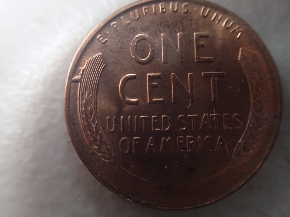 1955-S-Cud-Or-Die-Break-Or-Both