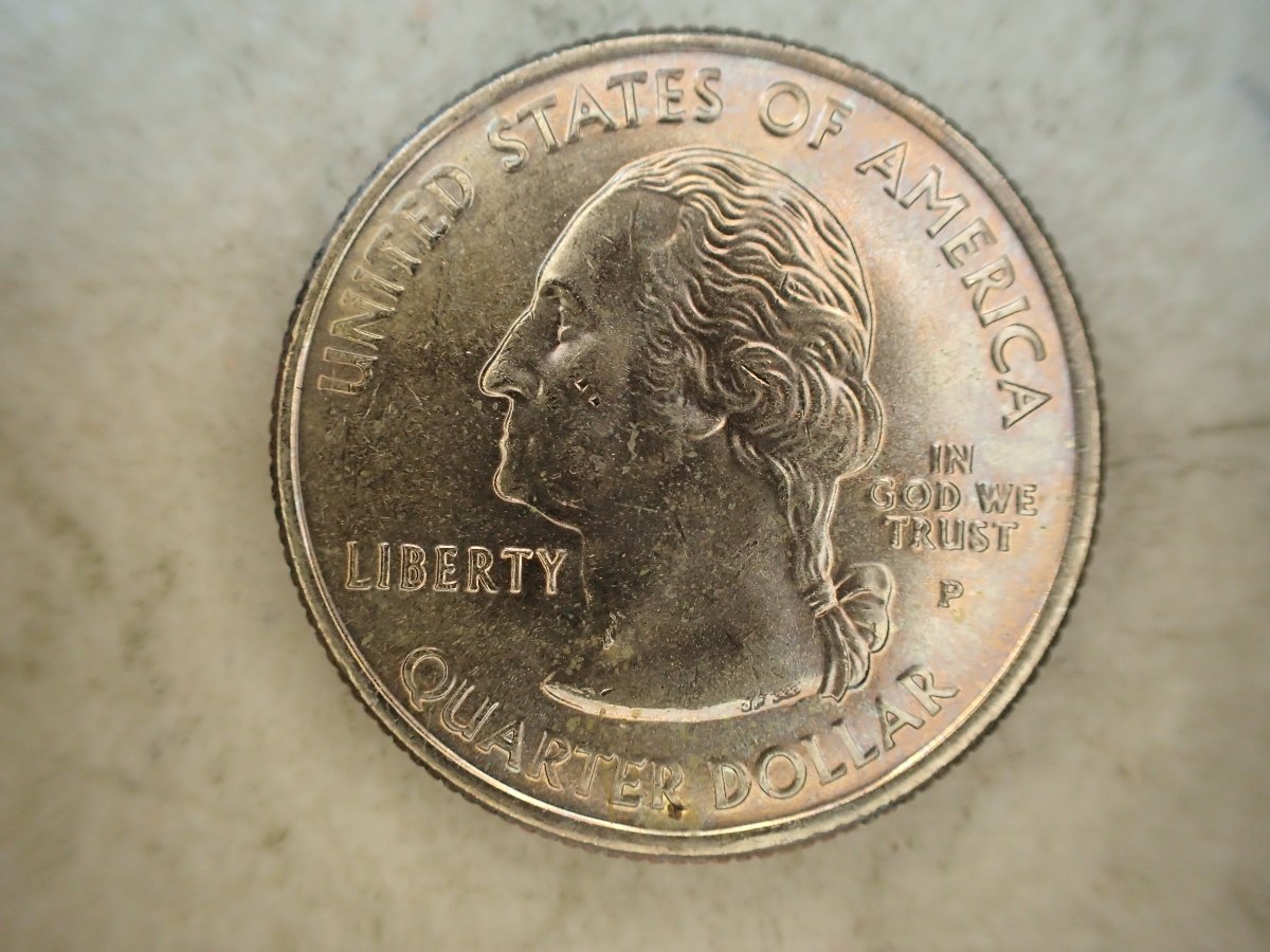 2007-D-Idaho-State-Quarter-Die-Chips