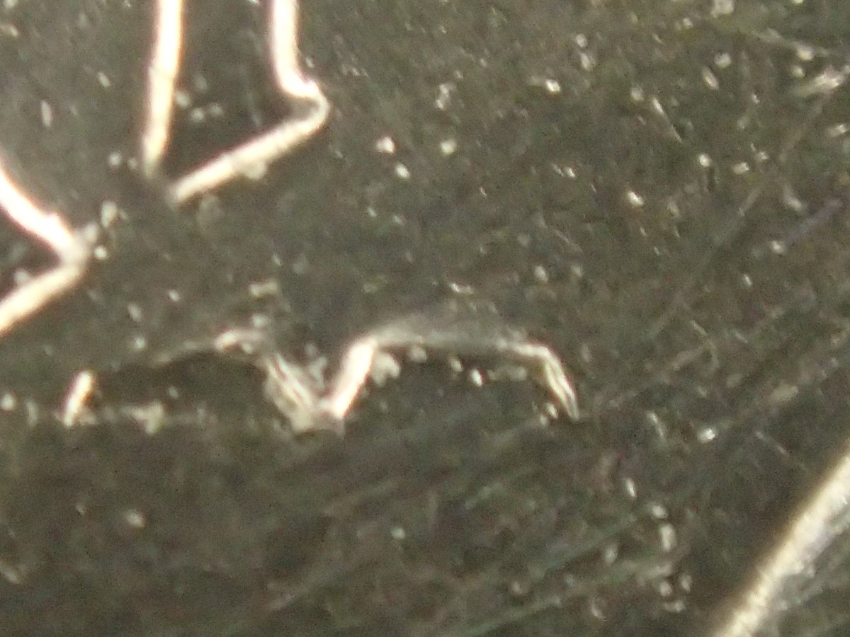 2001-D-New-York-State-Quarter