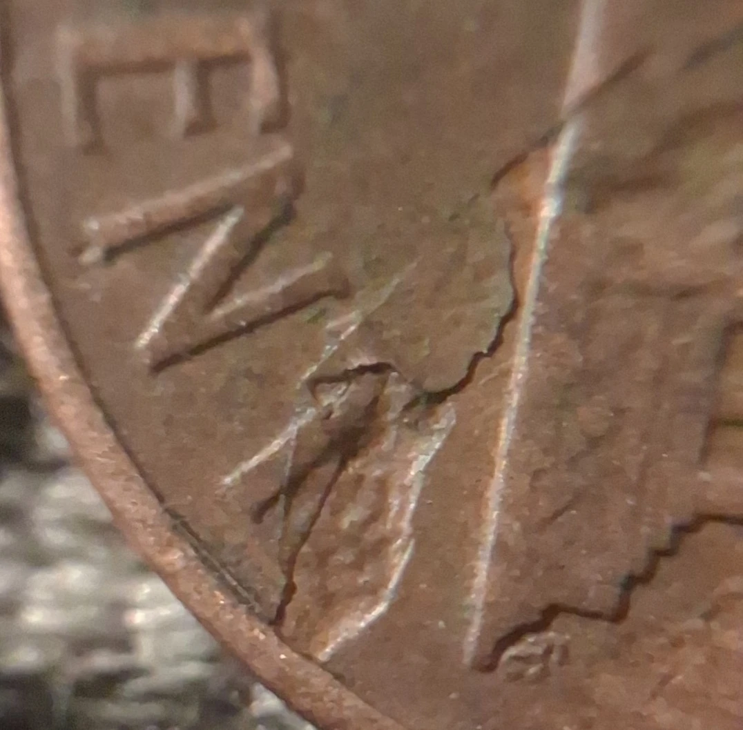 1960-D-Lincoln-Penny--Is-Something-Good-Or-No?-Thanks-For-Your-Time
