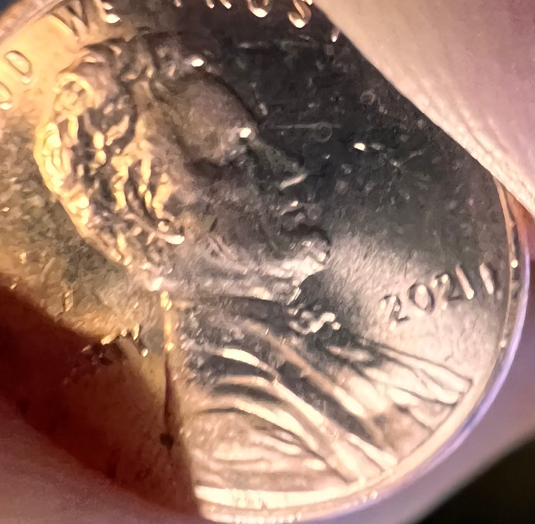 2021-Penny-With-Extra-Cud-Maybe-It-Looks-Like-It's-Half-Of-Another-#1