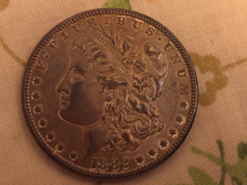 1882-S-Morgan-Dollar-Advice/Input