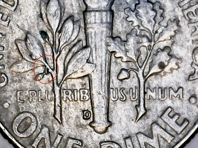 1964--D-Roosevelt-Dime--New-Olive-Branch-Or-Reverse-Die-Error-?