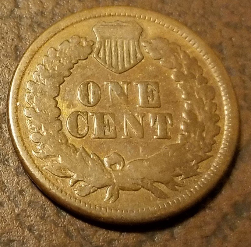 1877-Indian-Head-Cent,-Is-It-Authentic?