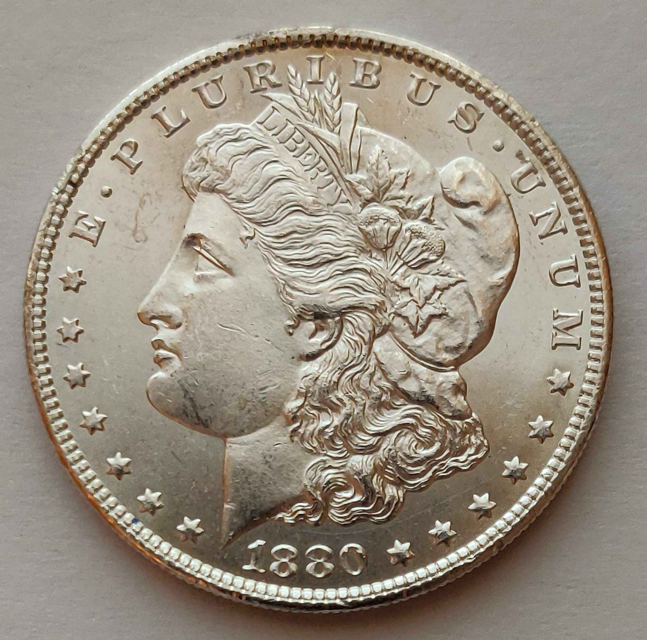 1880-S-Silver-Dollar-#2---Grading