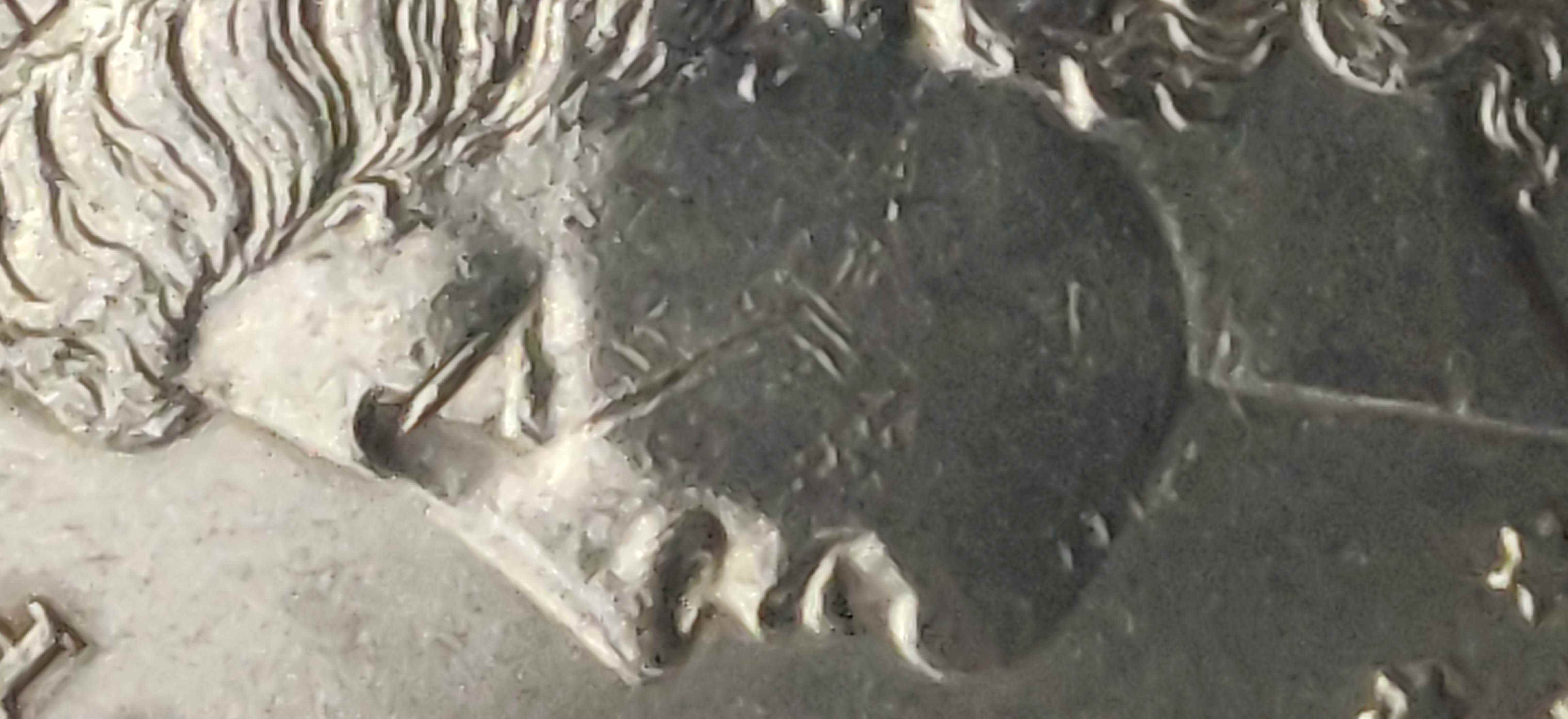 1881-O-Silver-Dollar---Grading