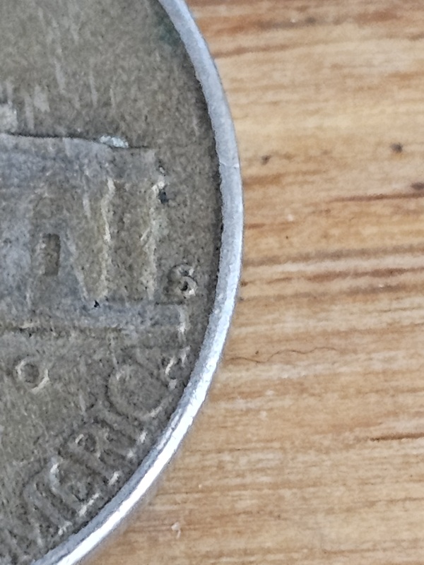 1954-S/D-Nickel?-Thoughts?