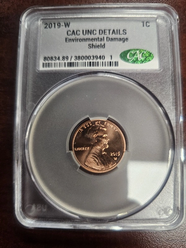 2019-W-Penny-CAC-Environmental-Damage?-No-Sense