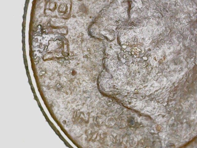 2018-P-Dime-Dark-Brown-Color