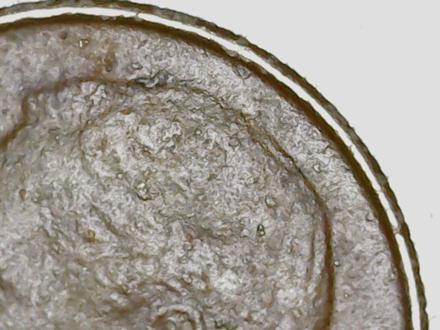2018-P-Dime-Dark-Brown-Color