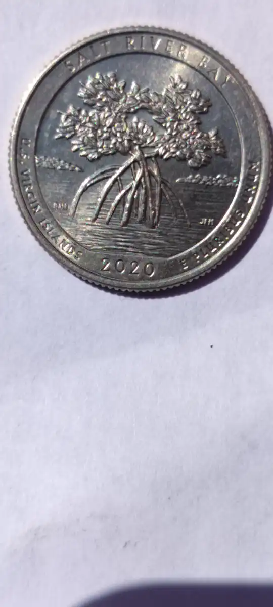 2020-W-Salt-River-Bay-Quarter-With-Privy-V75-Is-It-Worth-Getting-Graded