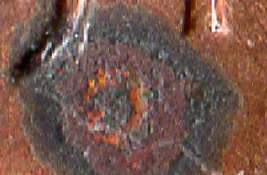 Interesting-Melting-Mint-Mark