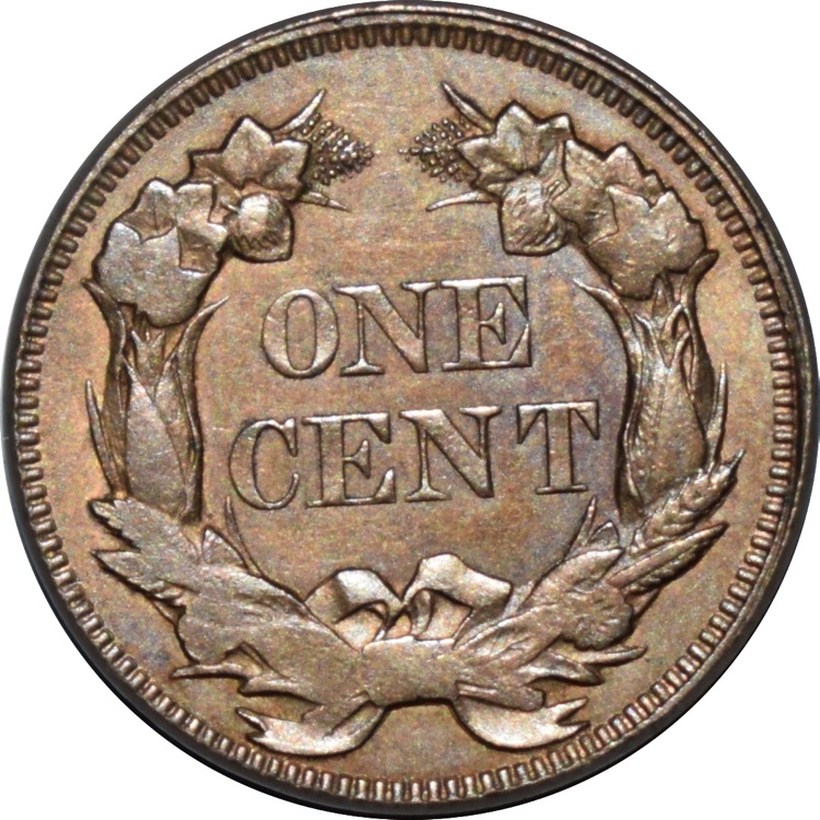 1857-Flying-Eagle---Grade-Opinions?
