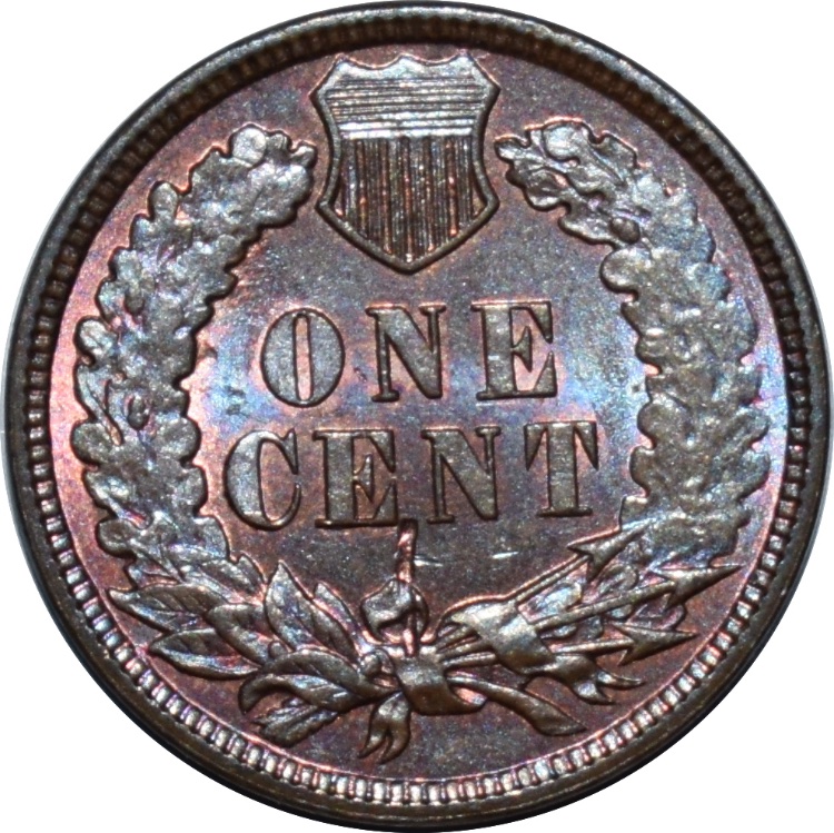1880-Indian-Head-Cent---Struck-Through?