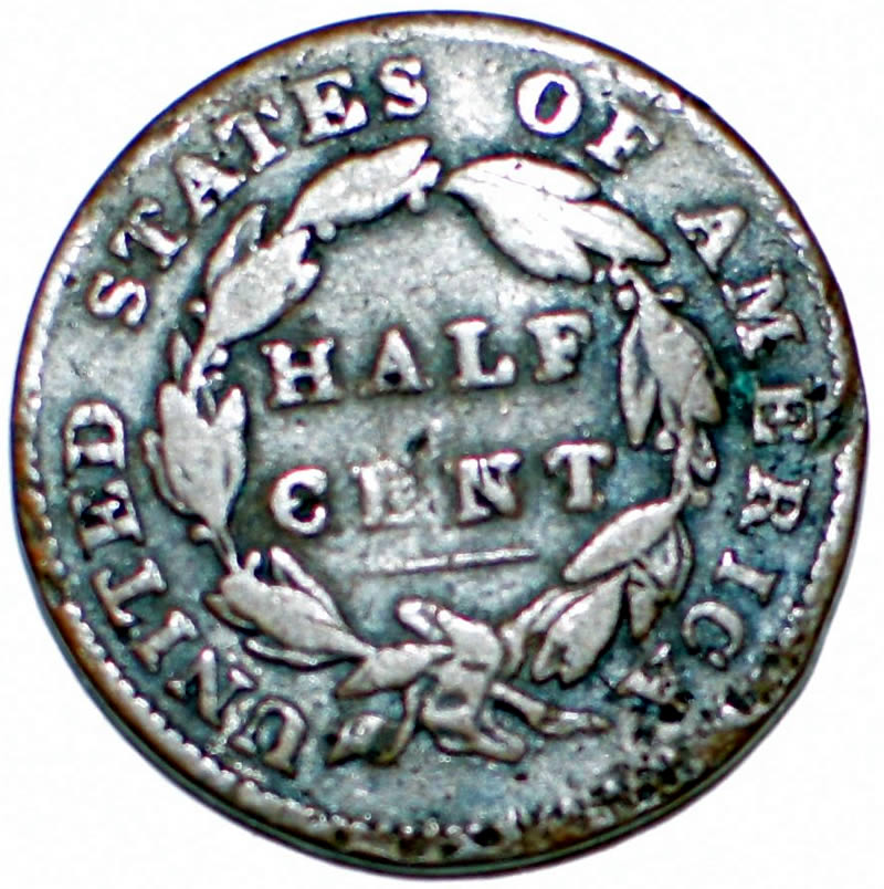 Help-With-An-1831-Half-Cent