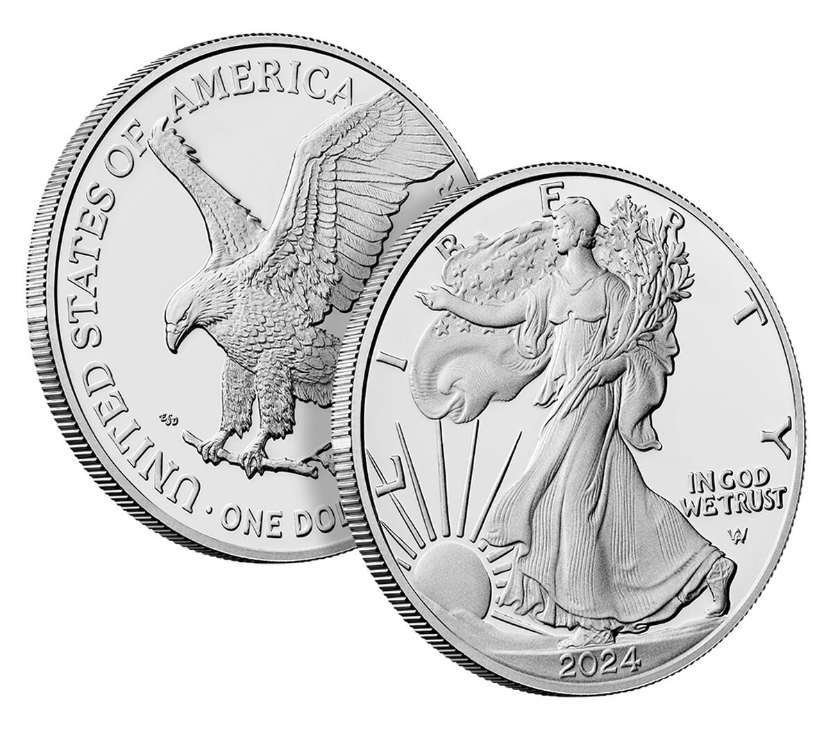 2024-Silver-Eagle-,-Recently-Purchased-And-Believed-To-Be-A-Fake