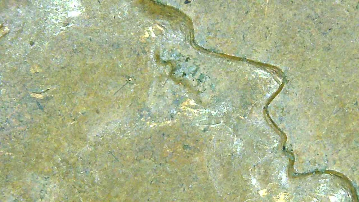1963-D-Penny-Is-This-DDO-Or-PMD-?