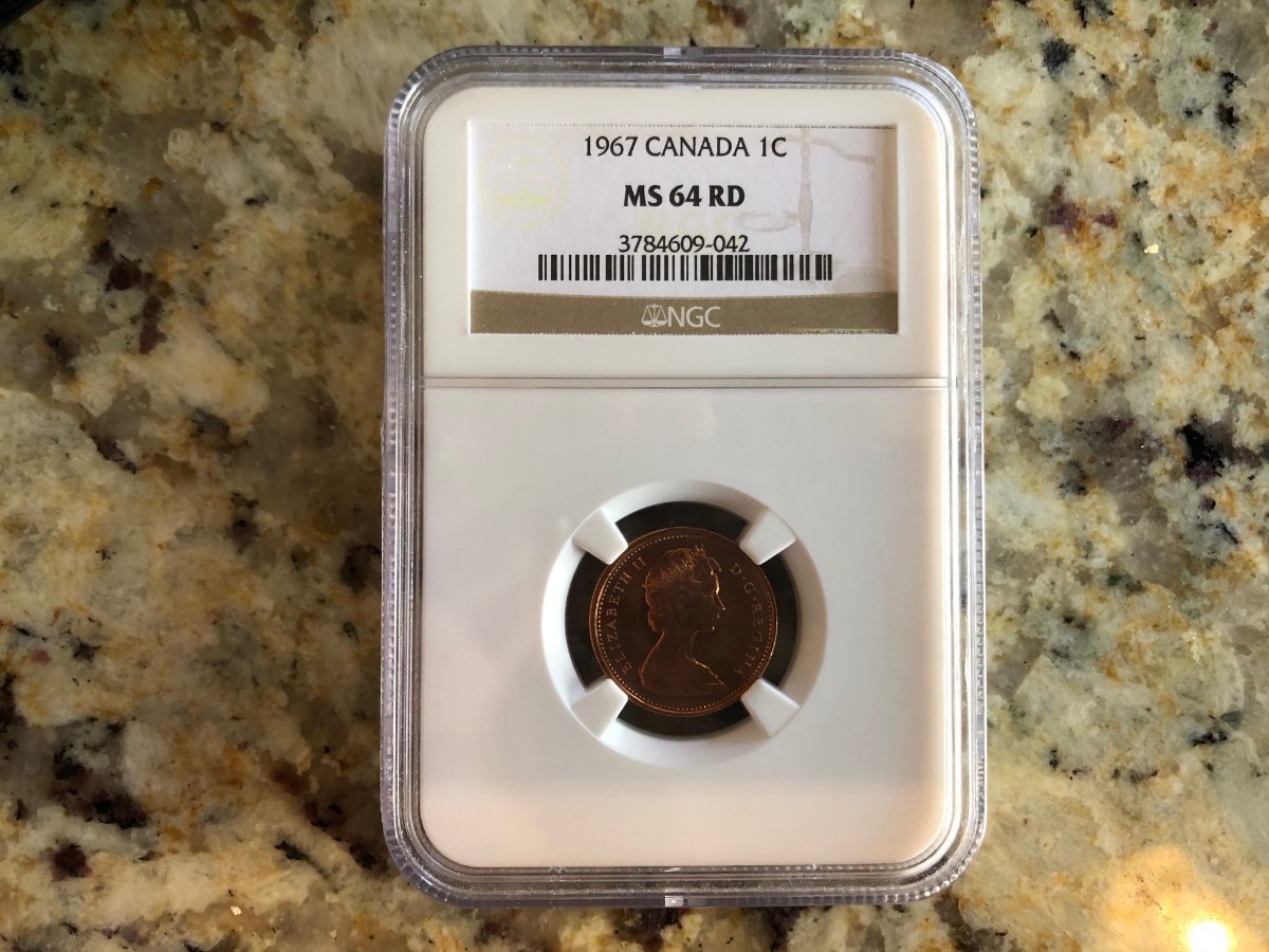 Post-Your-Coins-Representing-The-Animal-Kingdom.