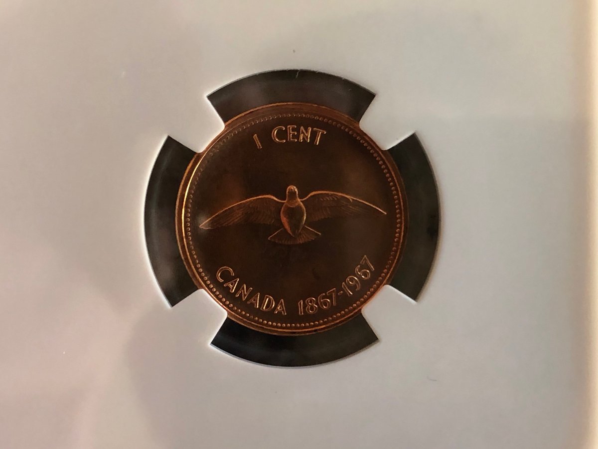 Post-Your-Coins-Representing-The-Animal-Kingdom.