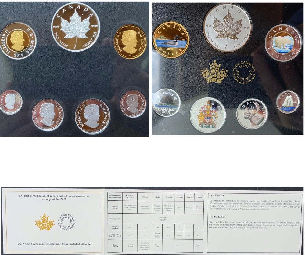 Silver-Maple-With-Both-Sides-Showing-The-Reverse
