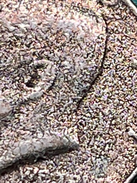 What-Causes-This-Type-Surface-?-1979-Half-Dollar