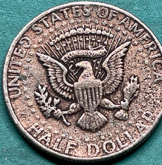 What-Causes-This-Type-Surface-?-1979-Half-Dollar
