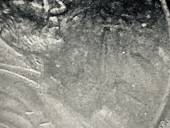 Errored-Franklin-Penny-No-Visible-Date