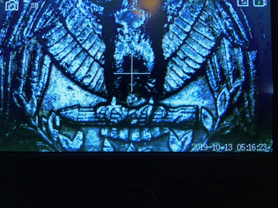 1990-D-Quarter---Spitting-Eagle?