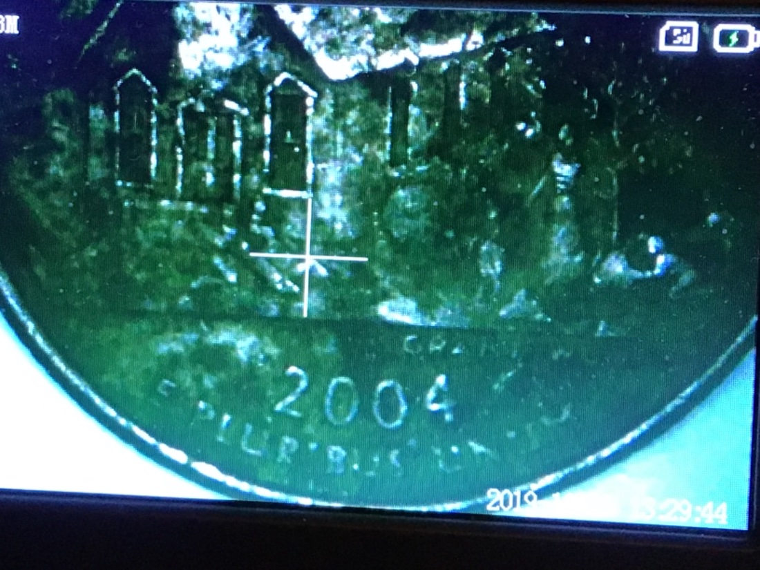 2004-P-Iowa-State-Quarter