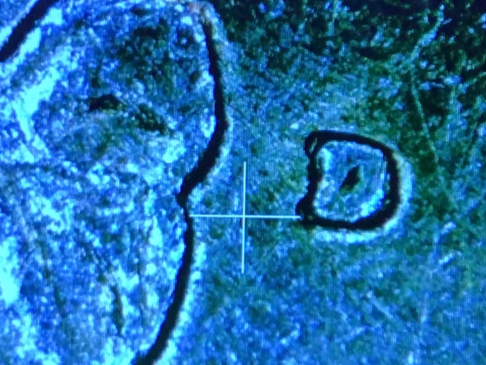 1982-D-Washington-Quarter---Spitting-Eagle-Error?