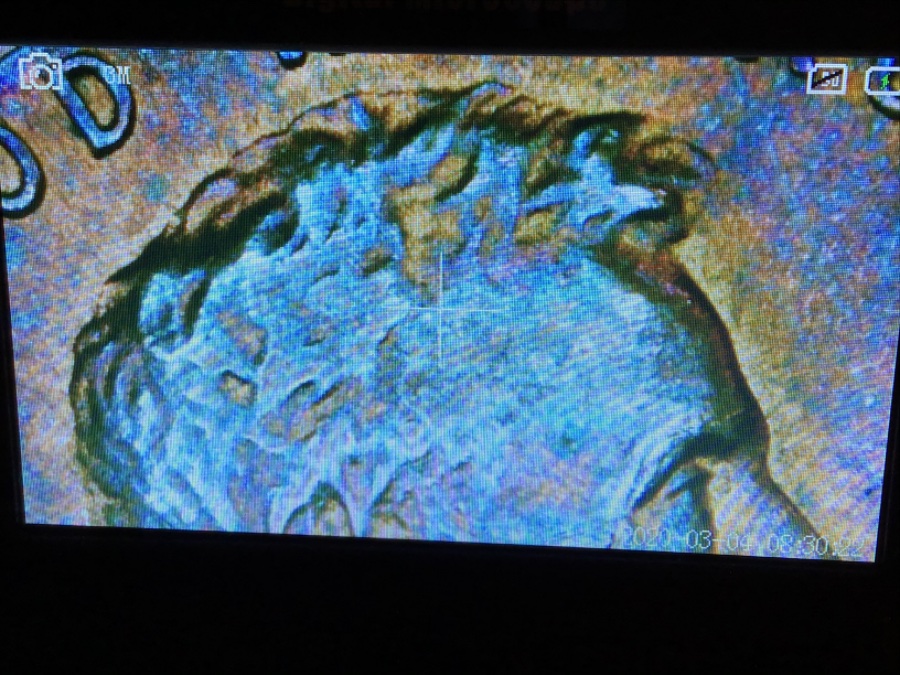 1984-D-Lincoln-Cent-With-Spiked-Hair